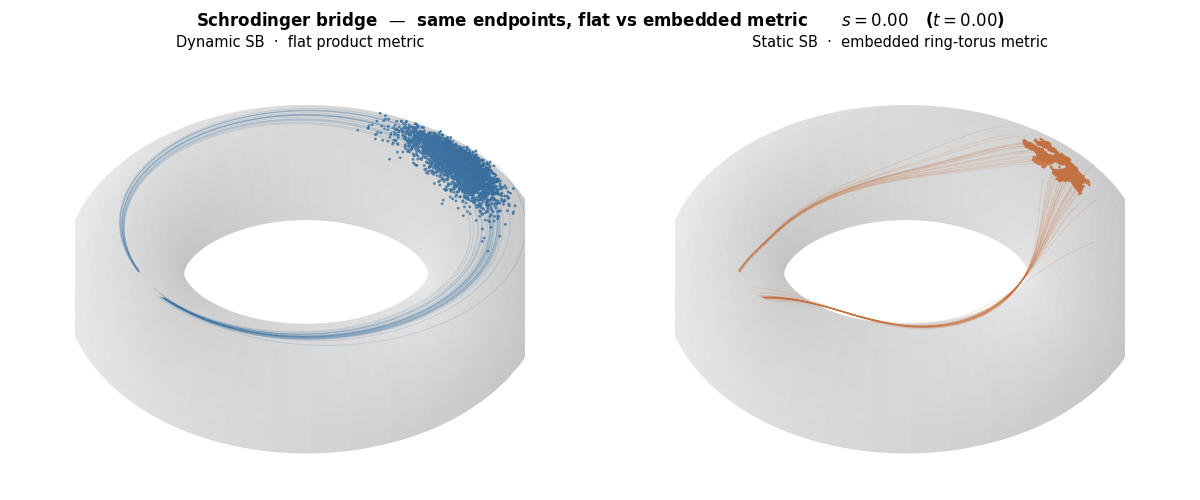 Schrödinger bridge density evolution on the torus