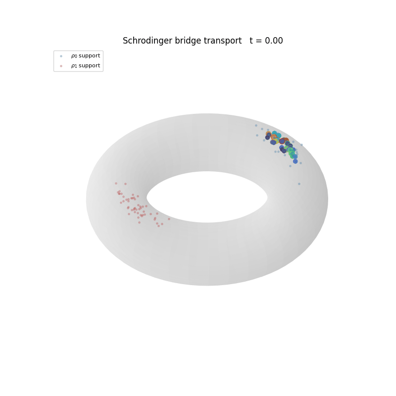 Path-space realization of the Schrödinger bridge on the torus
